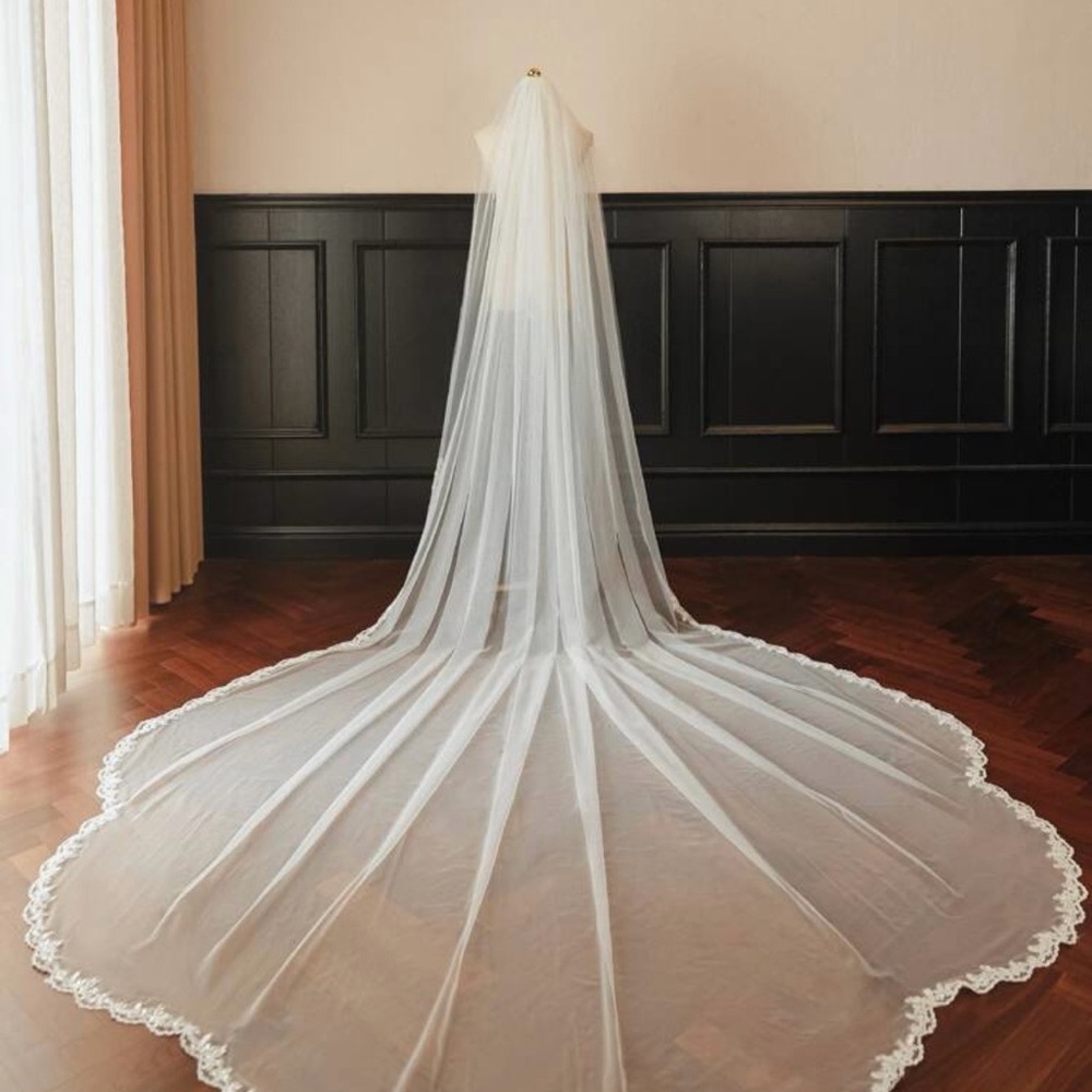 Elegant White Bridal Veil with Lace Edge